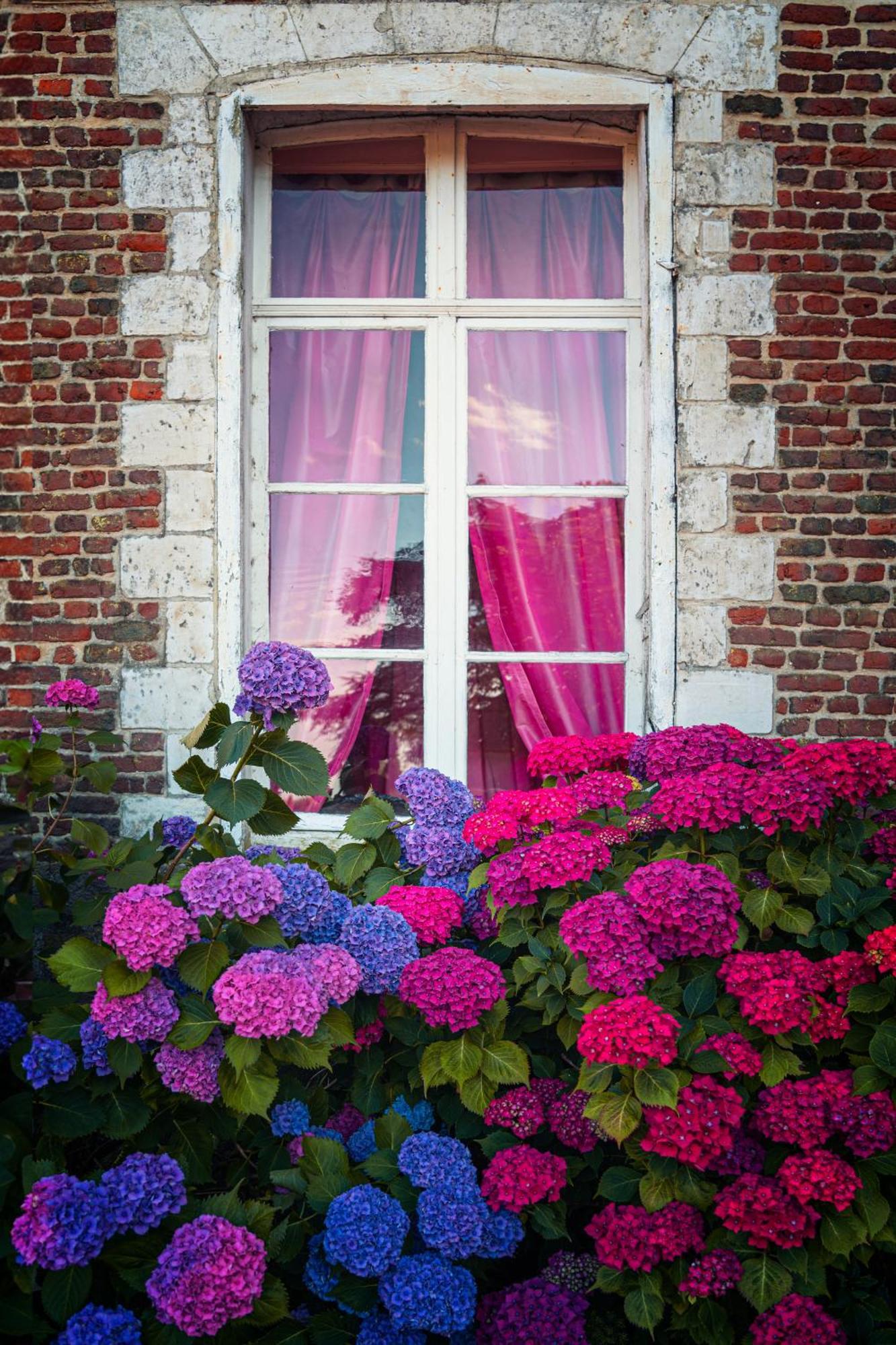 Chambres d'hôtes du Château de Grand Rullecourt Extérieur photo